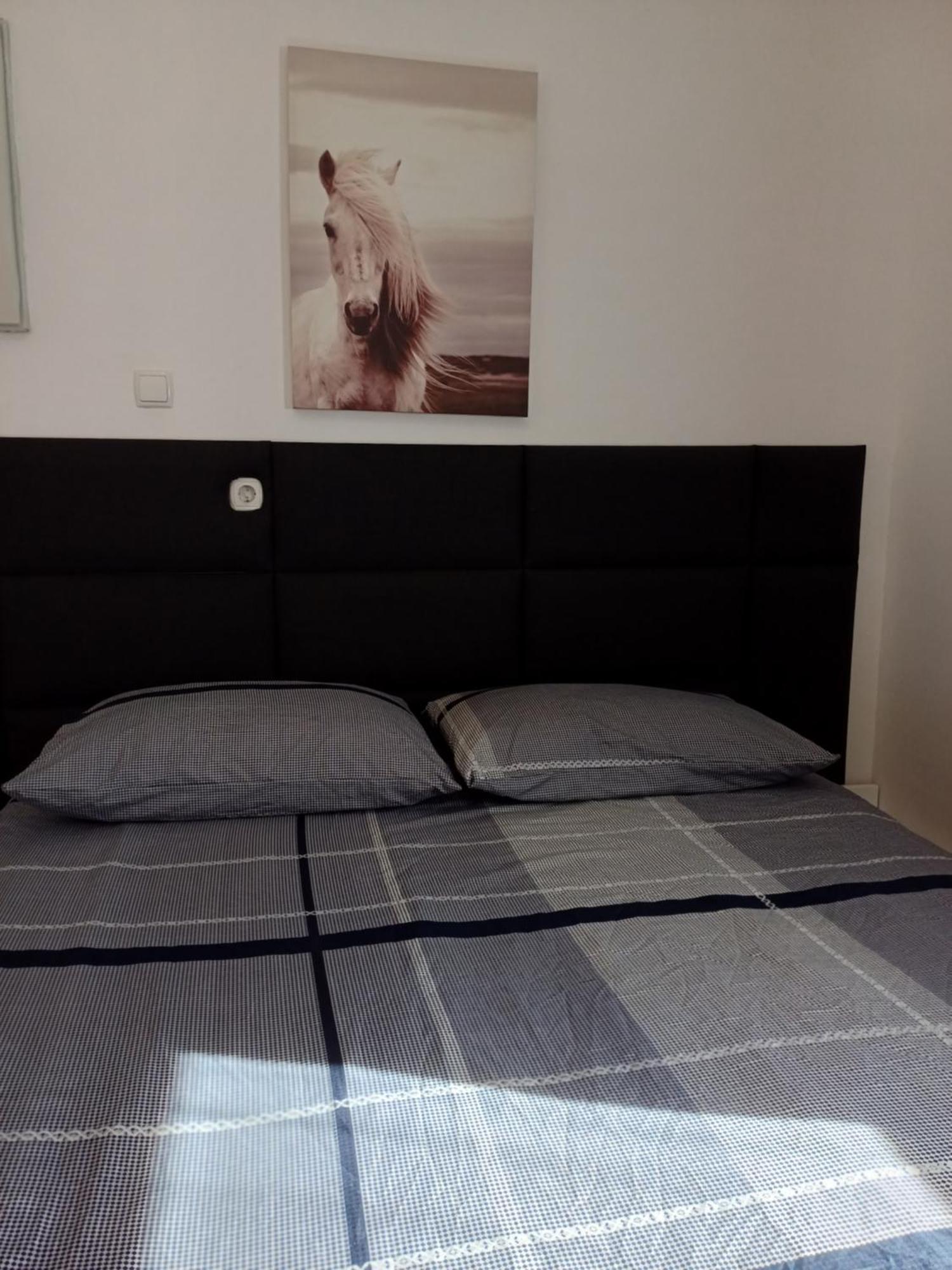 Sara Apartment